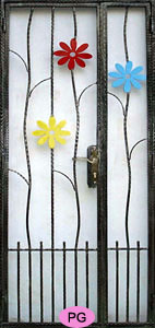 Wrought Iron Door Gate