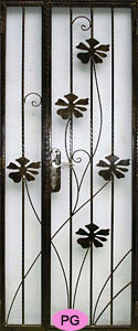 Wrought Iron Door Gate