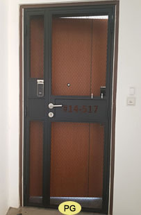 Iron Door Gate Mesh Design